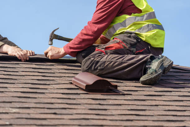 Best Roof Gutter Cleaning  in Royalton, IL