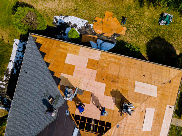 Best Roof Replacement Cost  in Royalton, IL