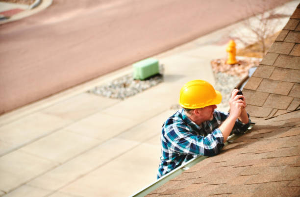 Best Roof Inspection Near Me  in Royalton, IL